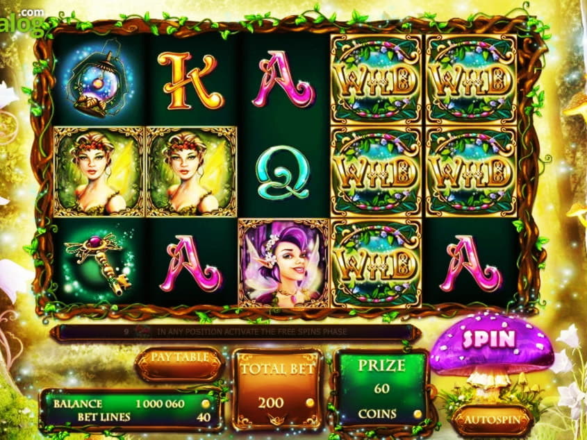 300% Match bonus kasino Net Bet Casinolla