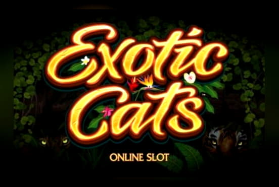 215 ilmaiset kasino pyörii Spin Palace Casinolla